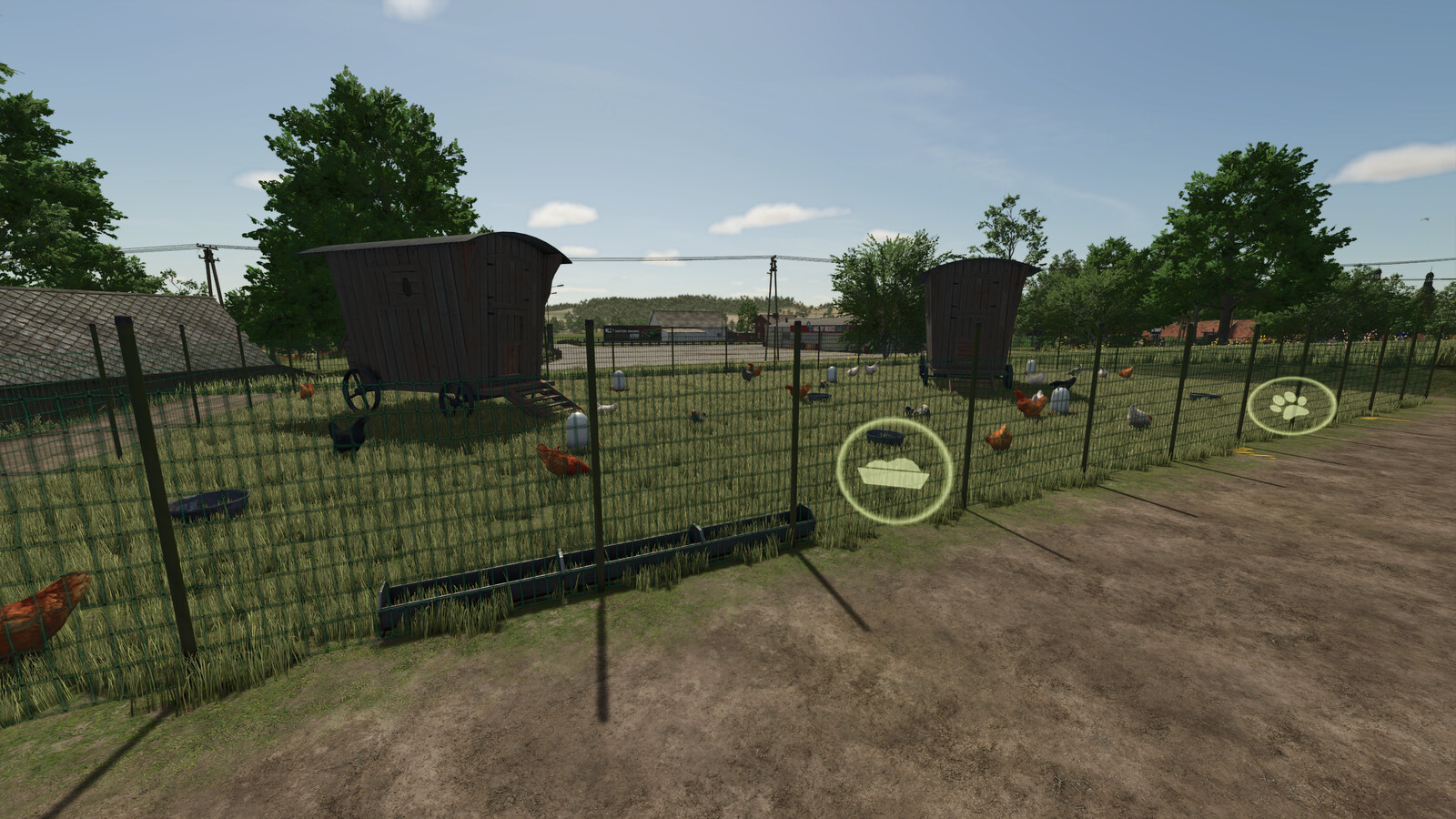 Outdoor Chicken Coop