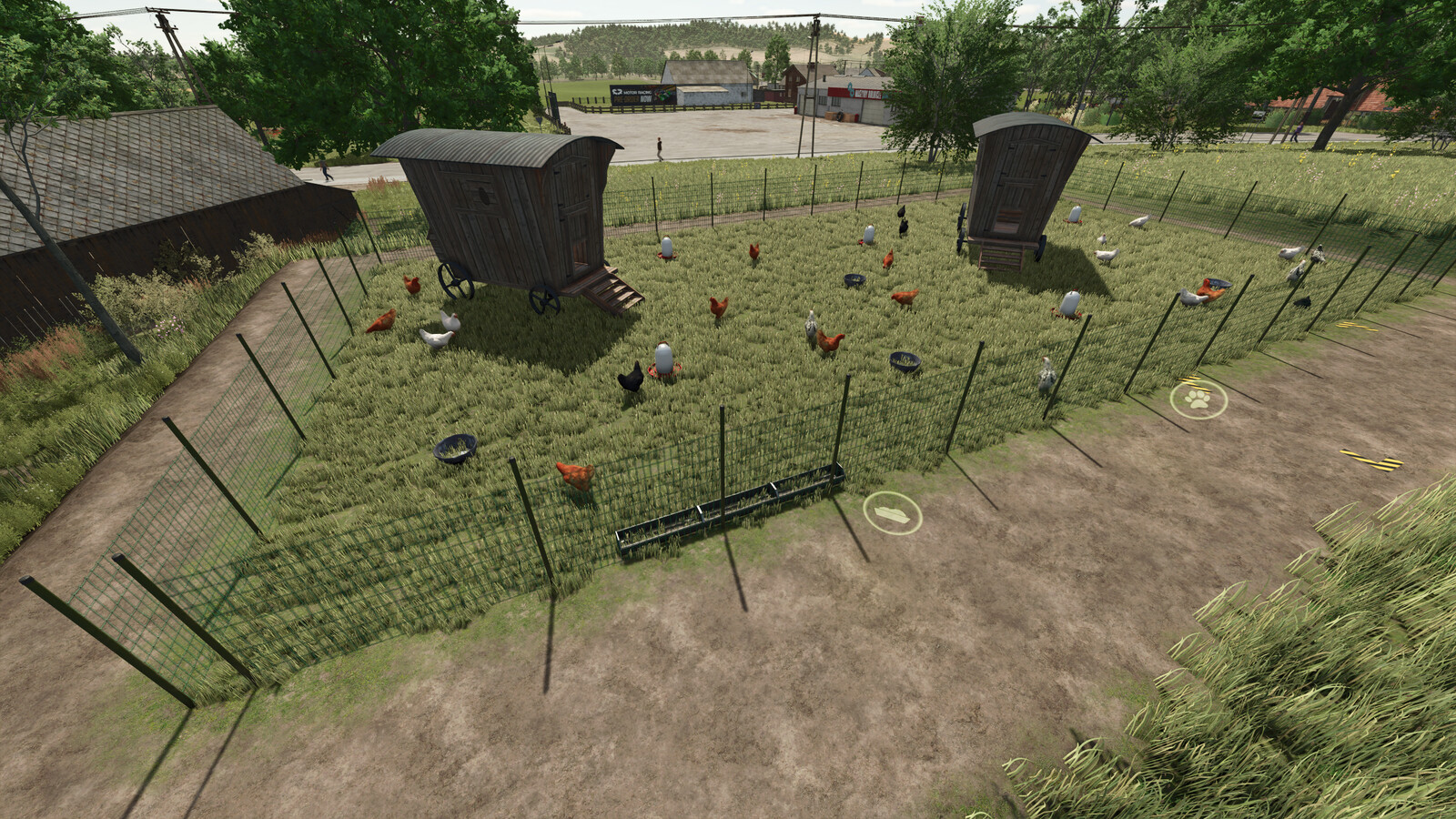 Outdoor Chicken Coop