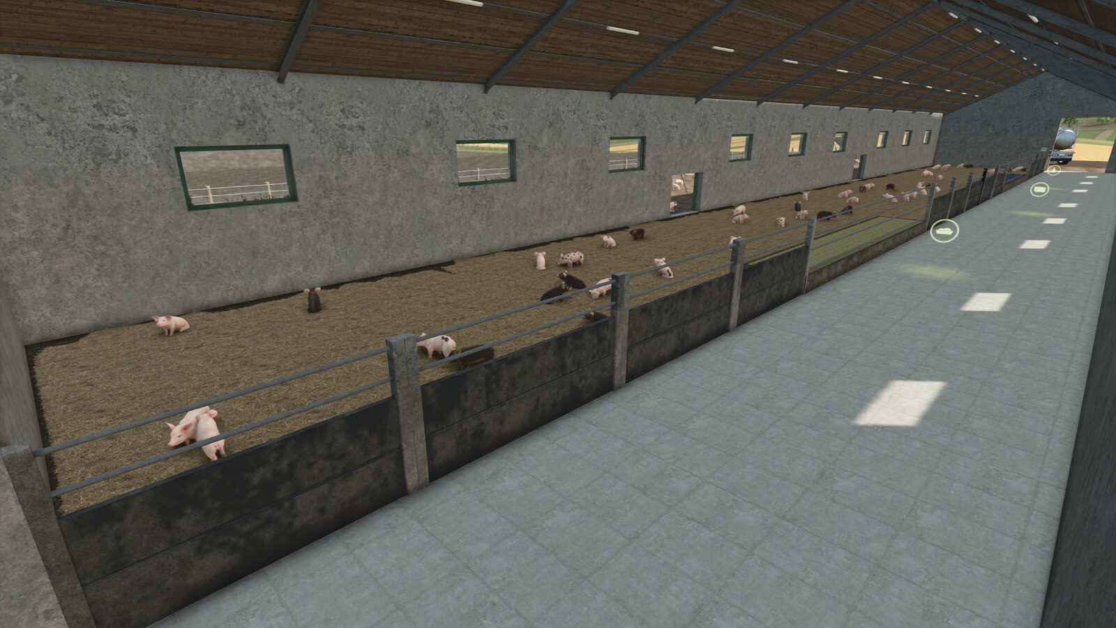 Pig Barn Medium