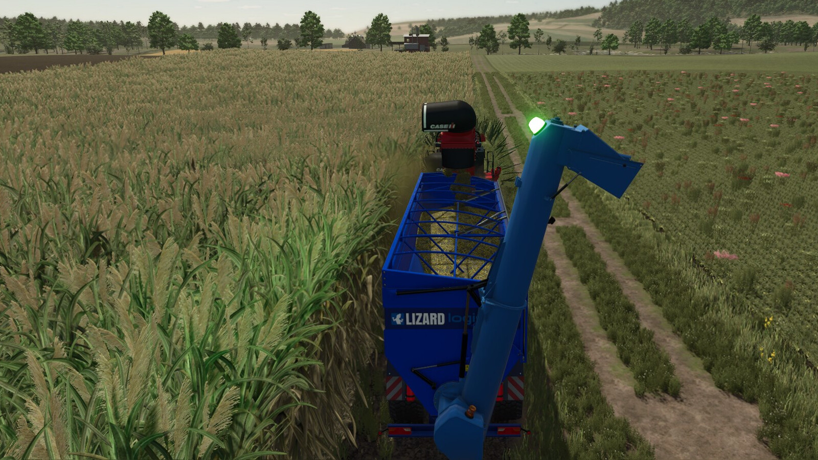 Lizard Auger Master