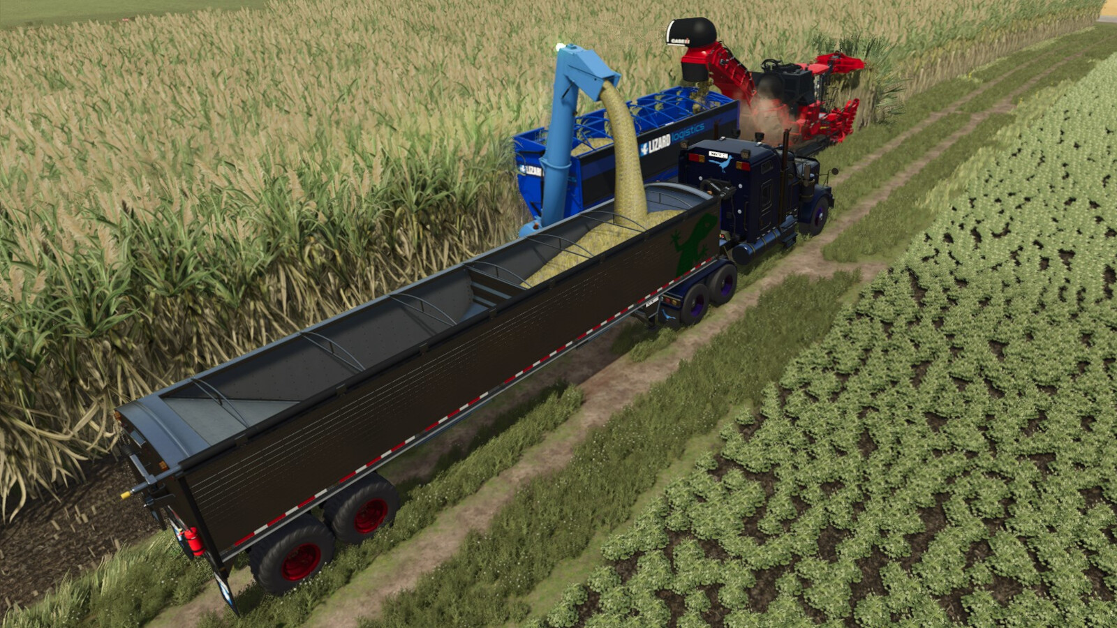 Lizard Auger Master
