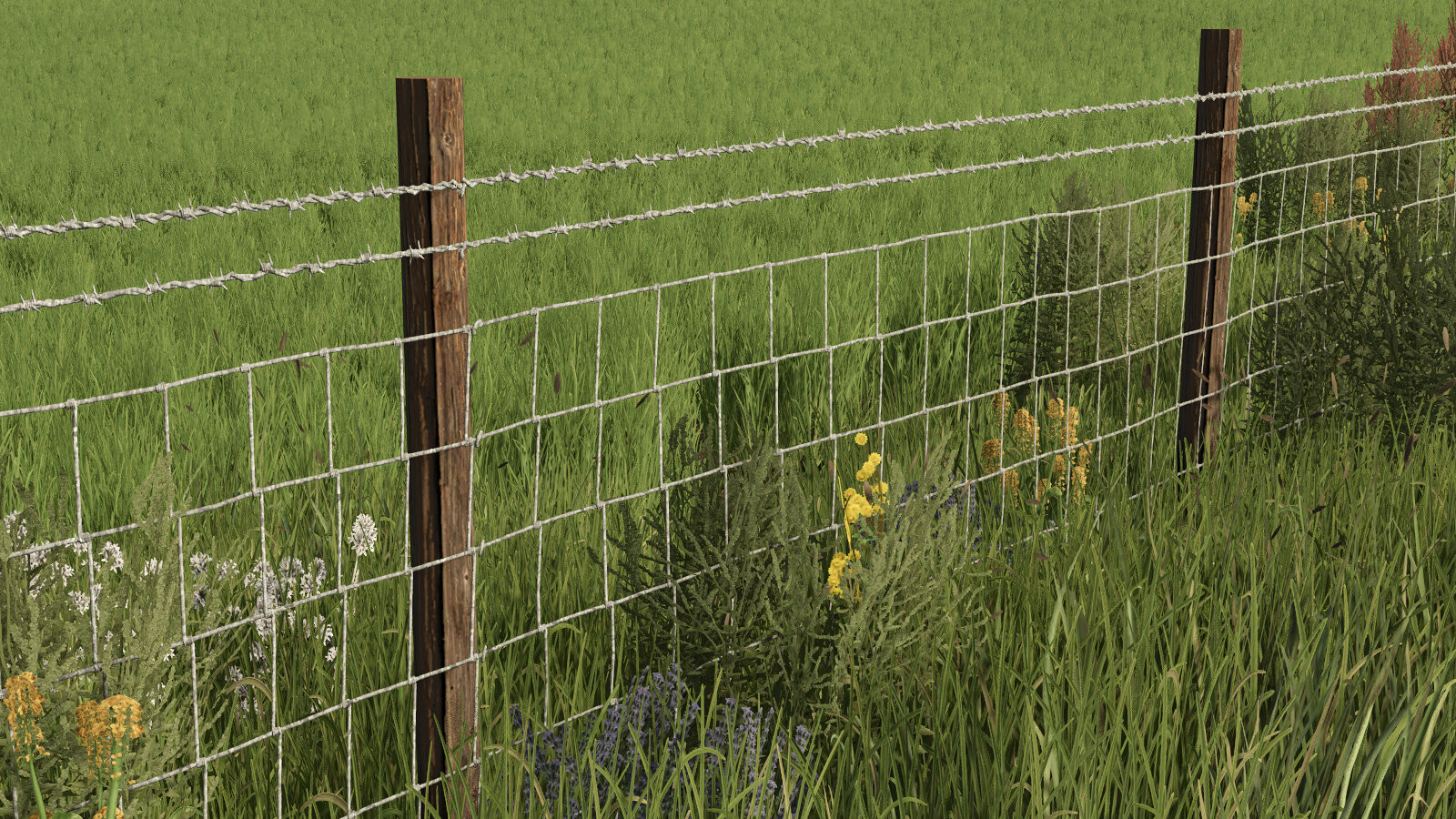 Barbed Wire Fence
