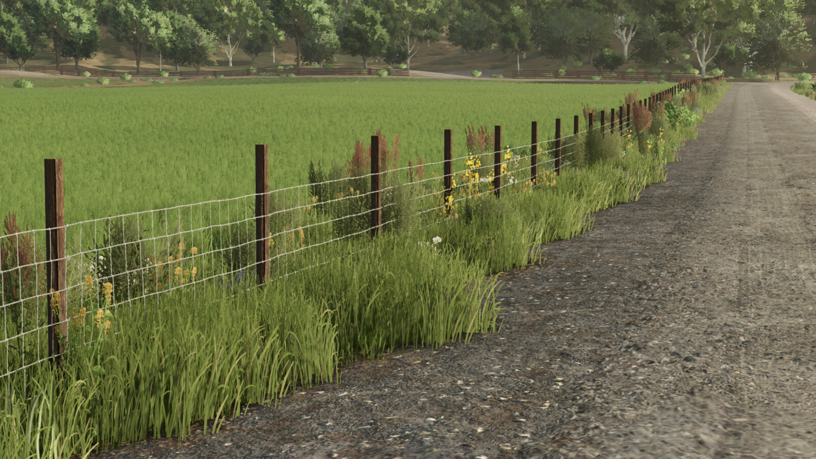 Barbed Wire Fence