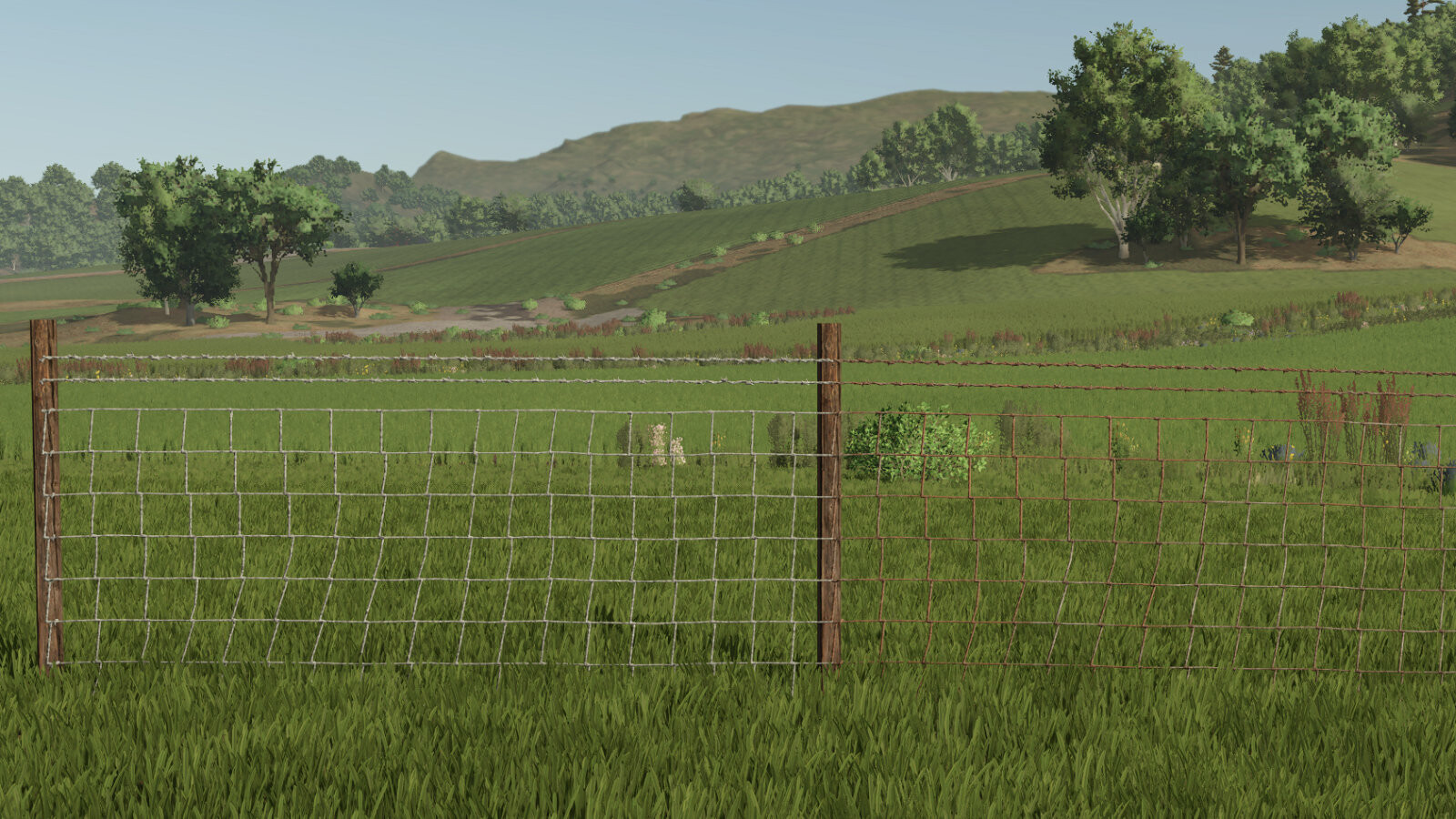 Barbed Wire Fence