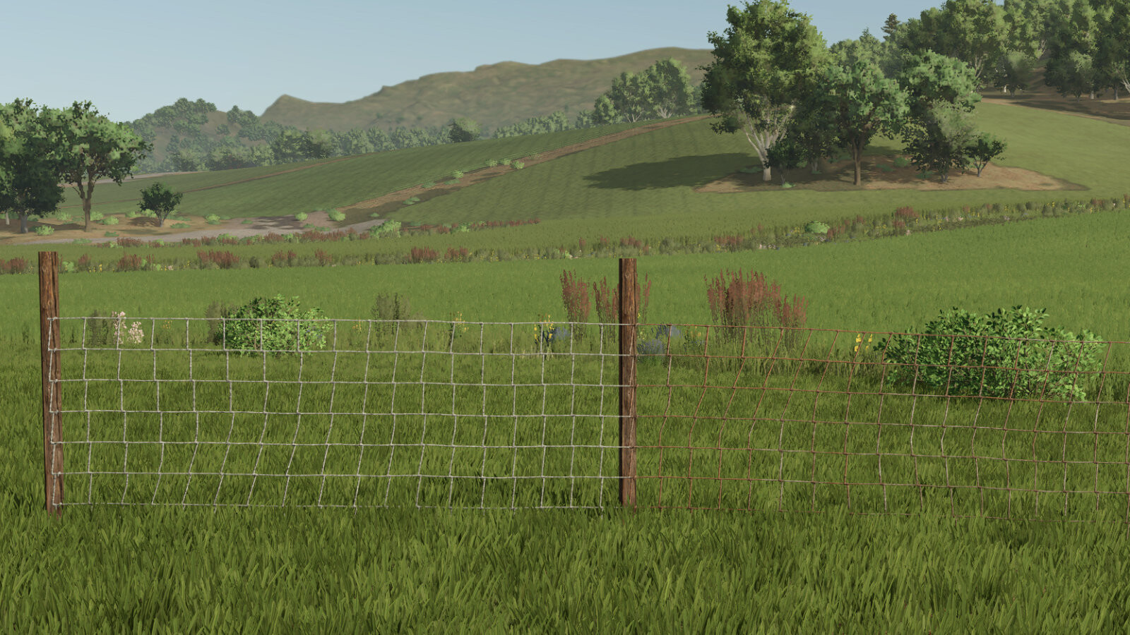 Barbed Wire Fence