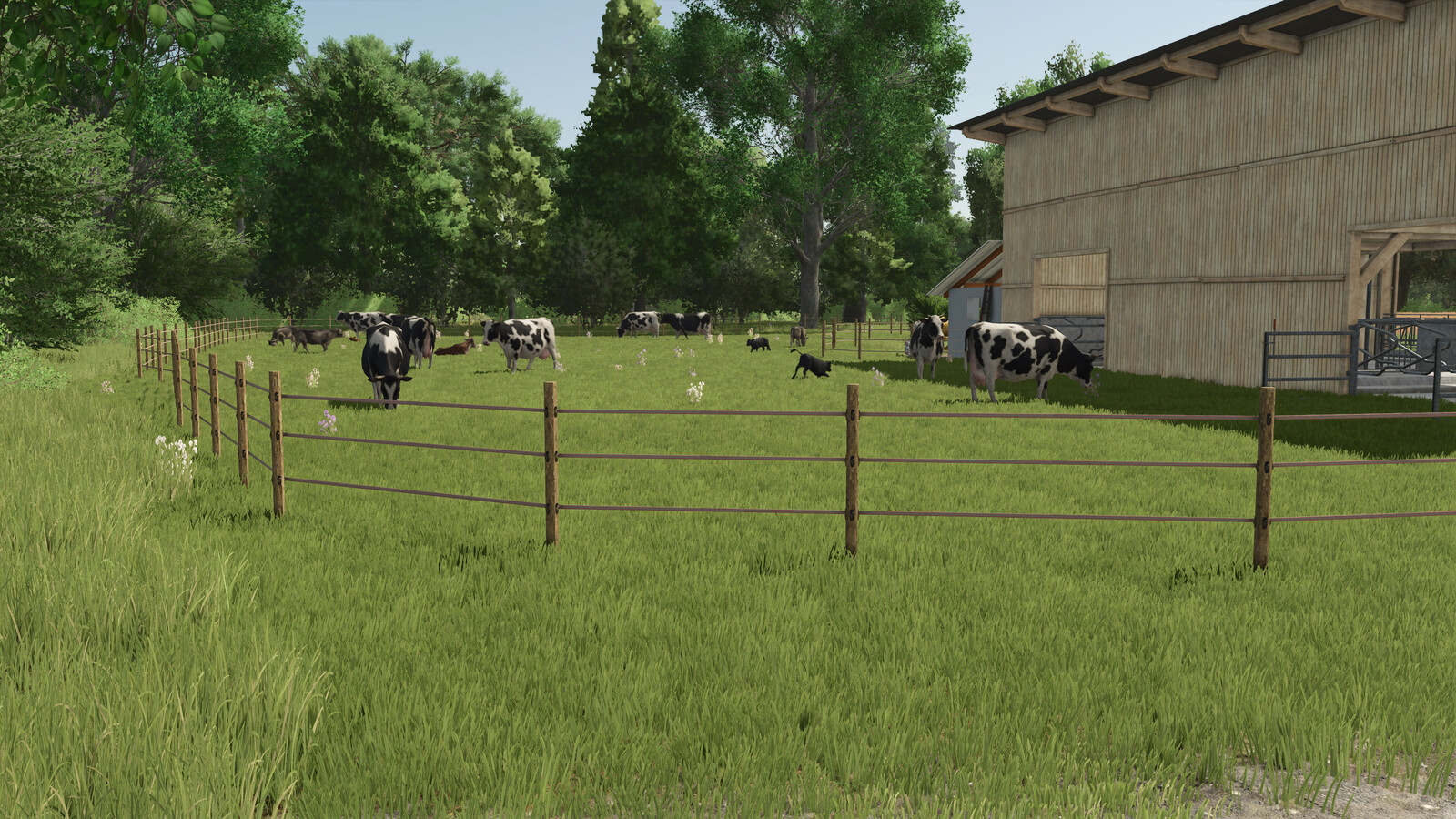 Pack With Modified Rearing Barns