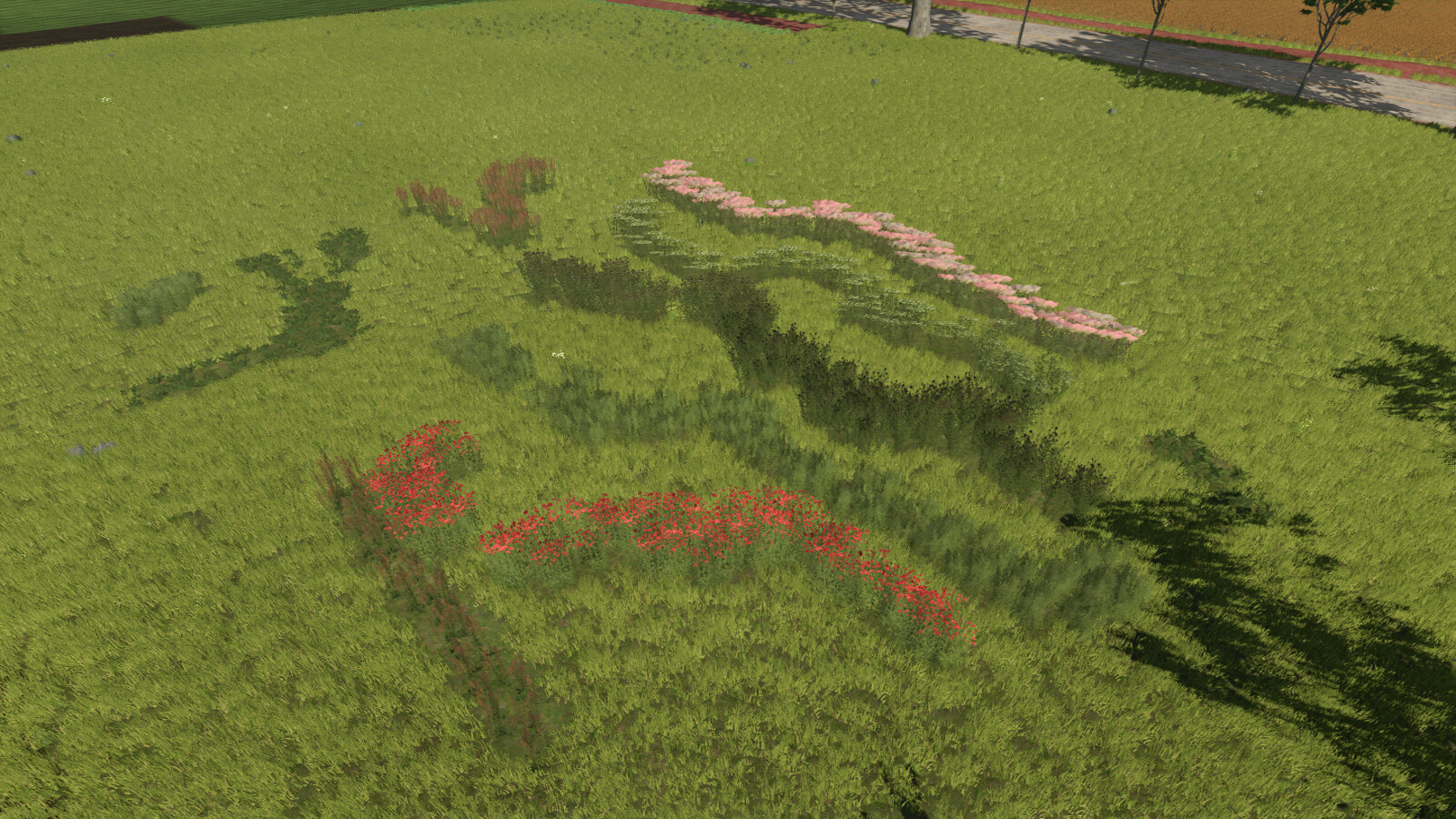 Plant Decoration Pack