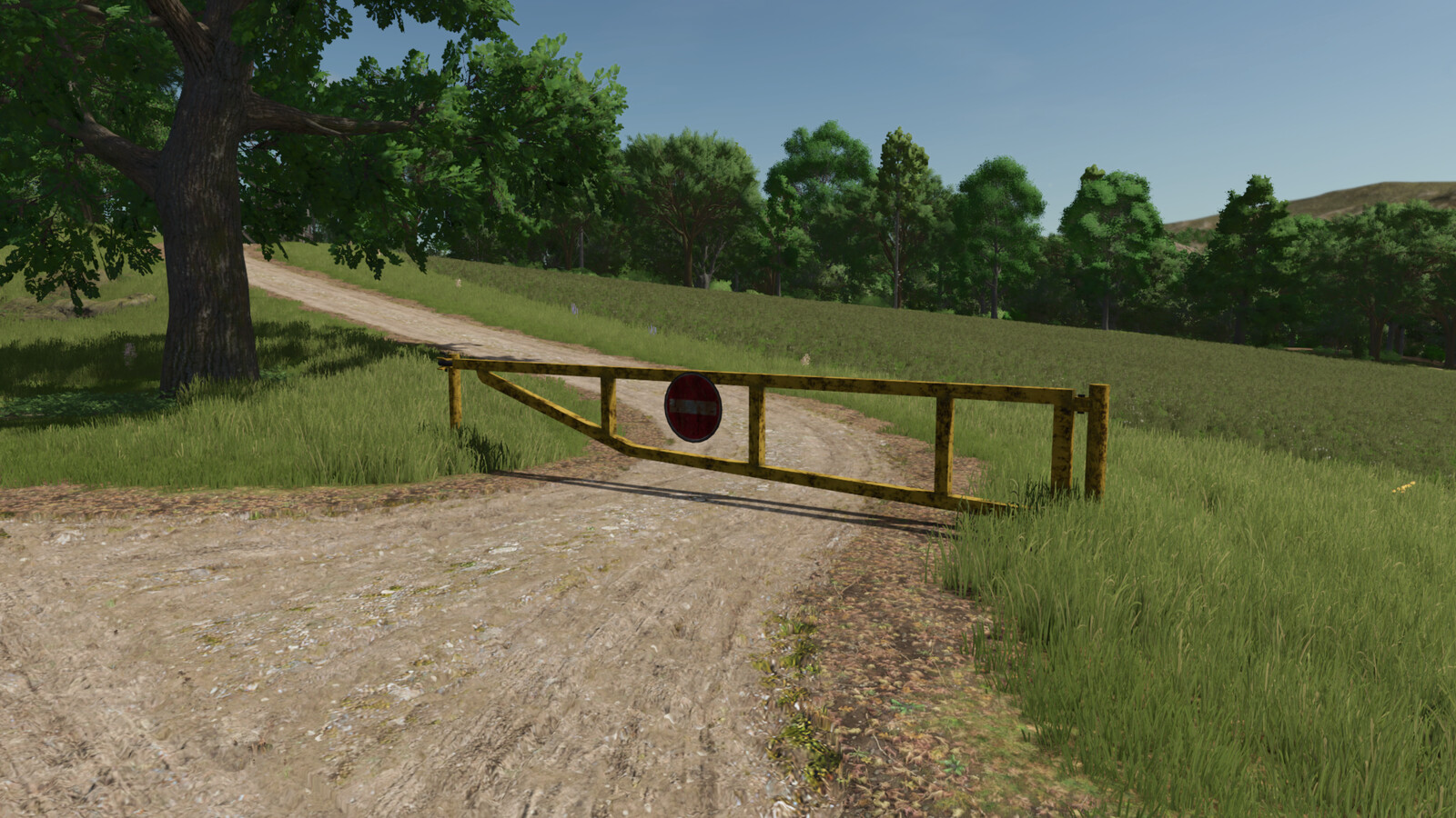 No Entry Gate