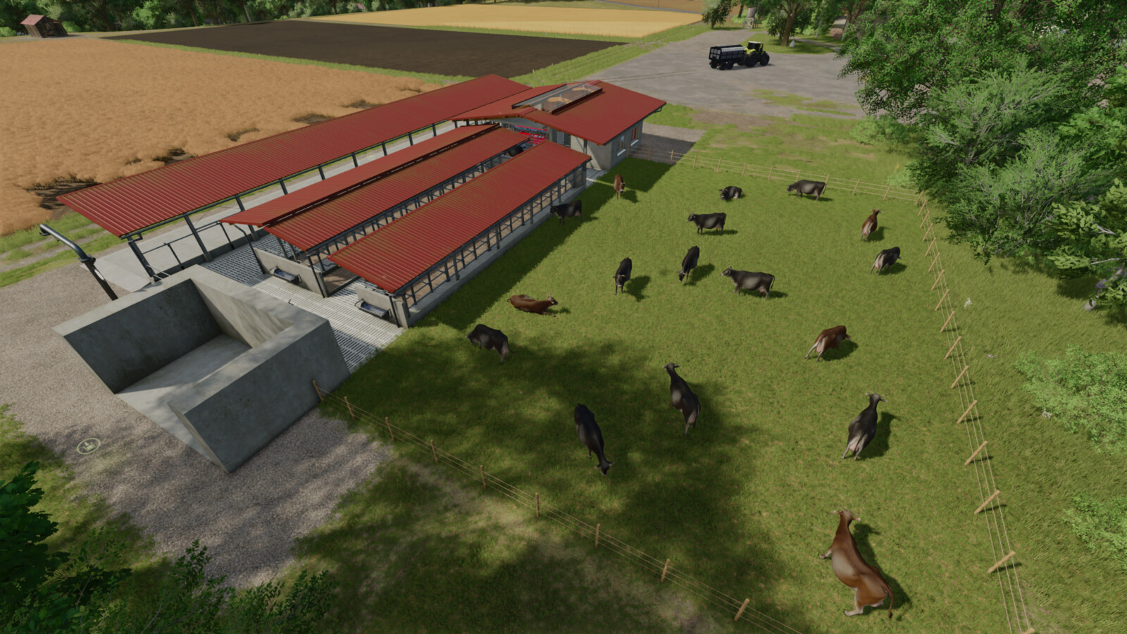 Cow Barn Dairy Production