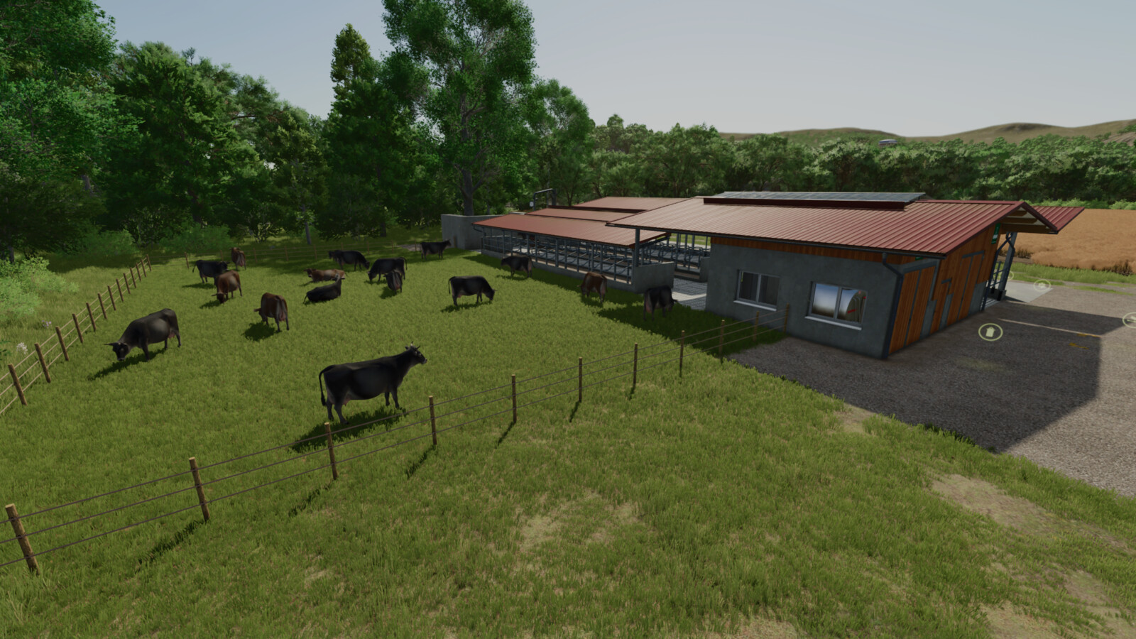 Cow Barn Dairy Production