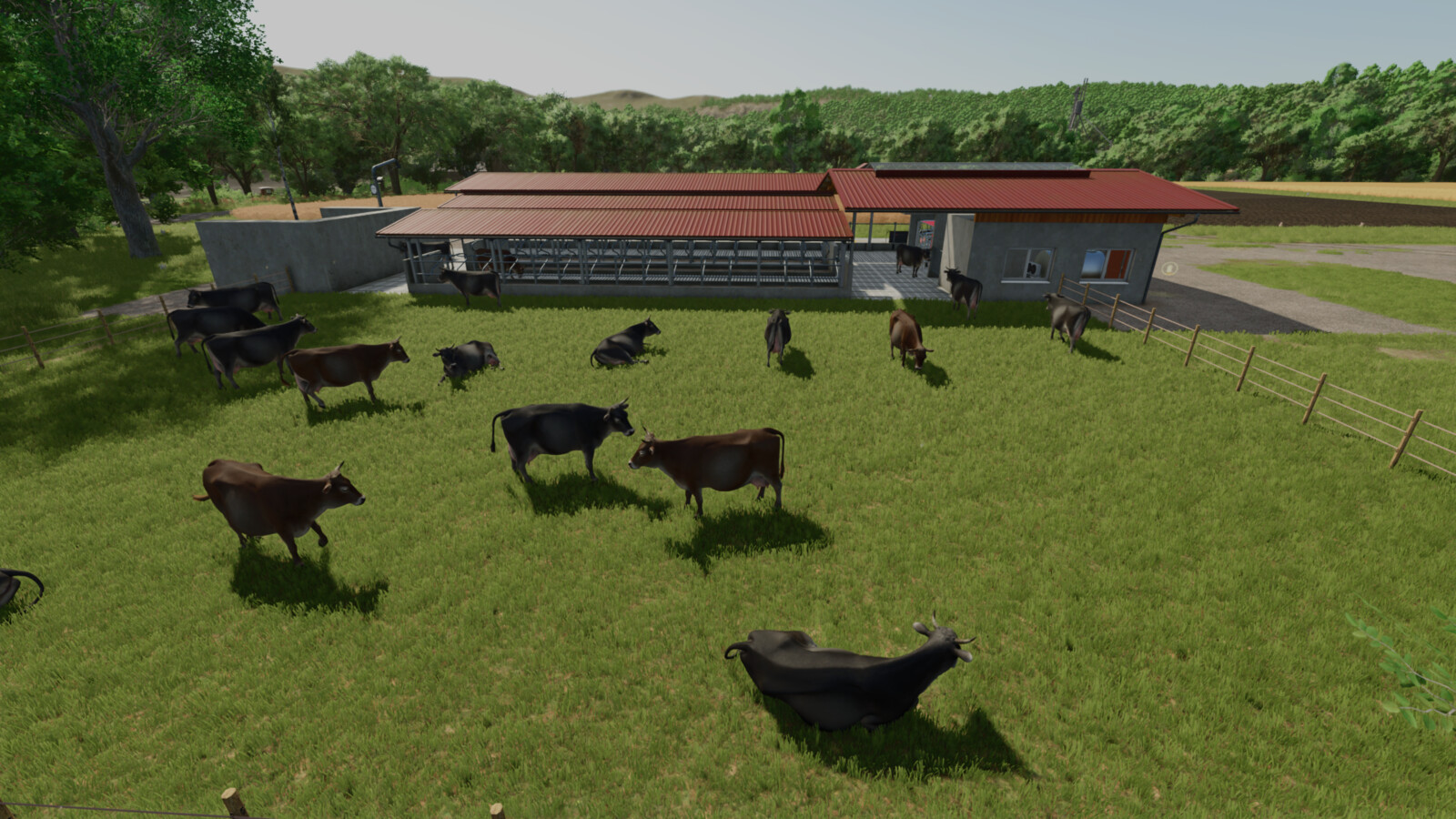 Cow Barn Dairy Production