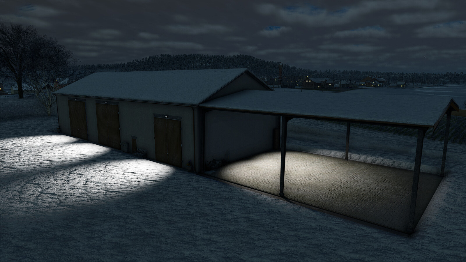 Garage With Shed
