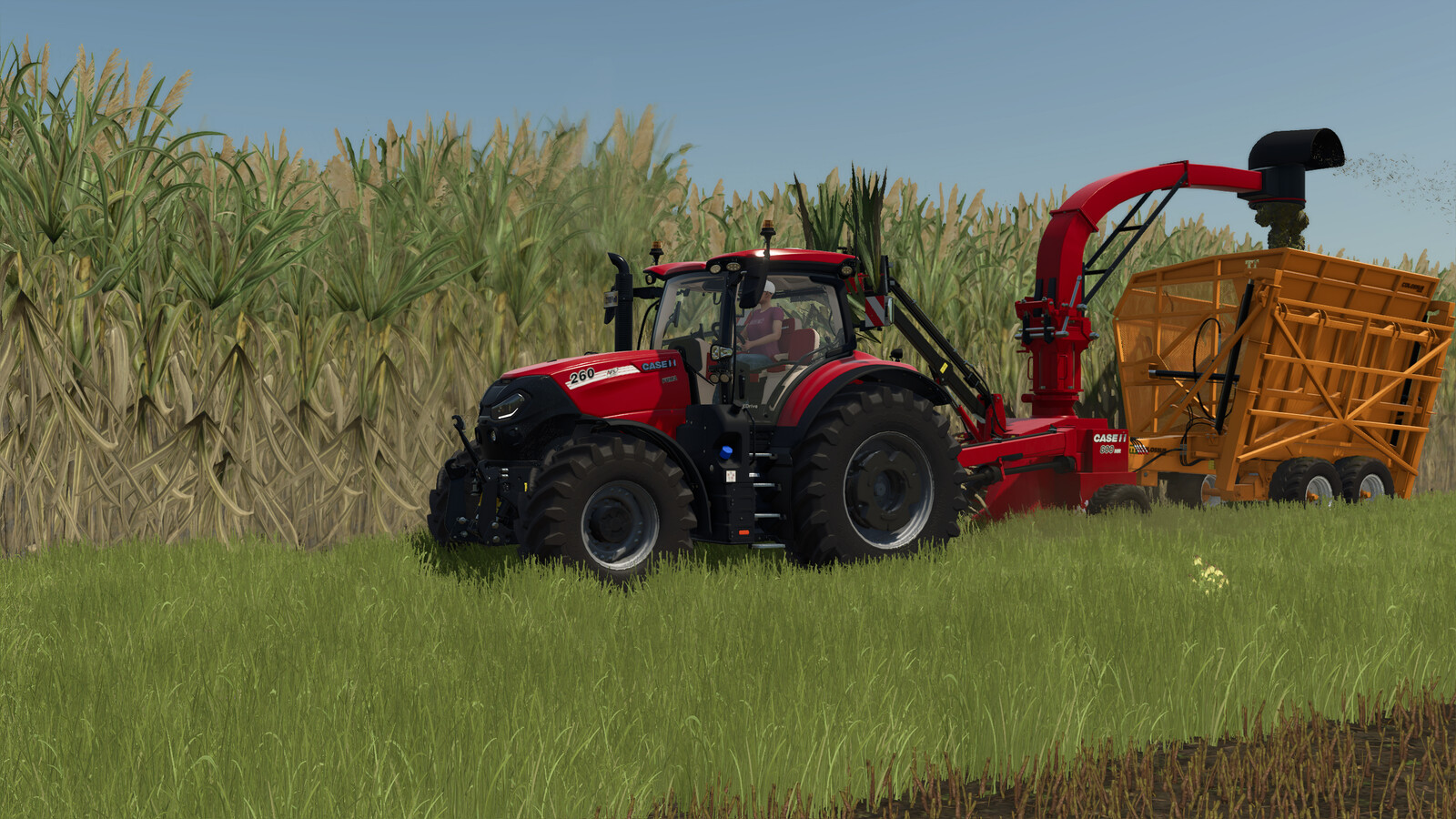 Case 800 MR