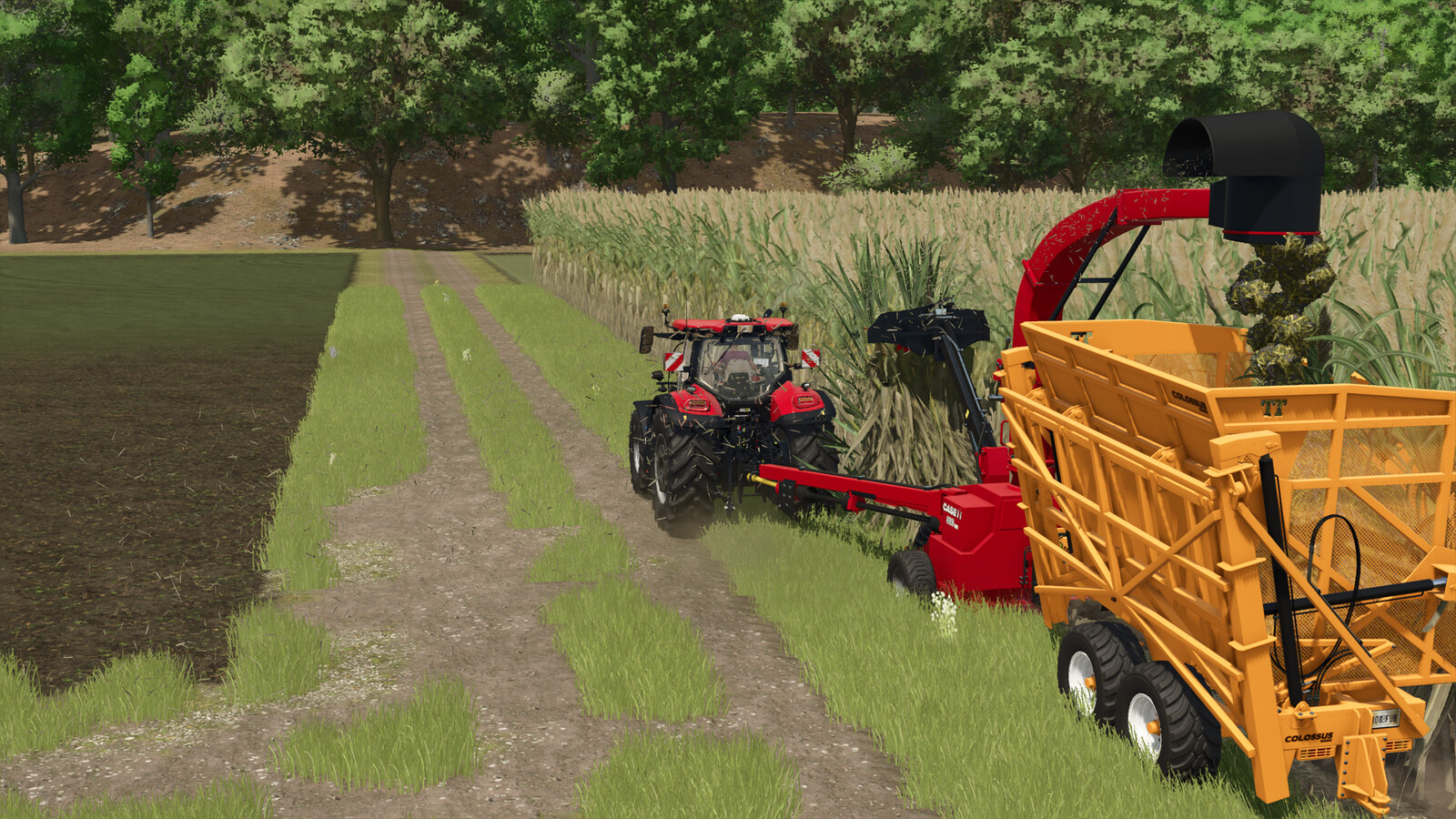 Case 800 MR