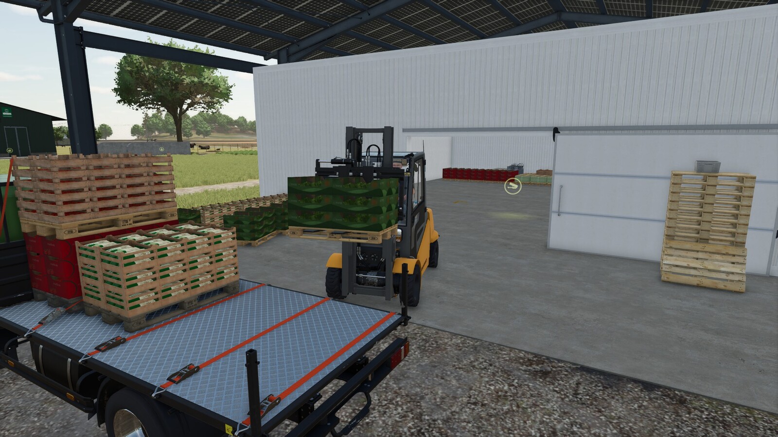 Cold Room Storage