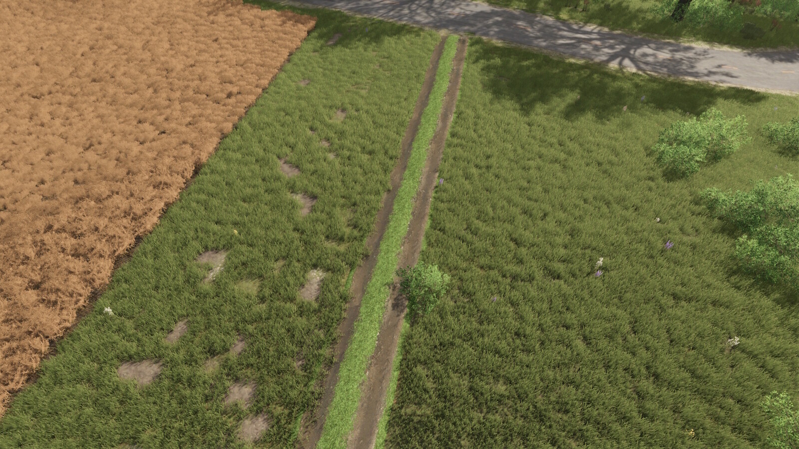 Farm Road