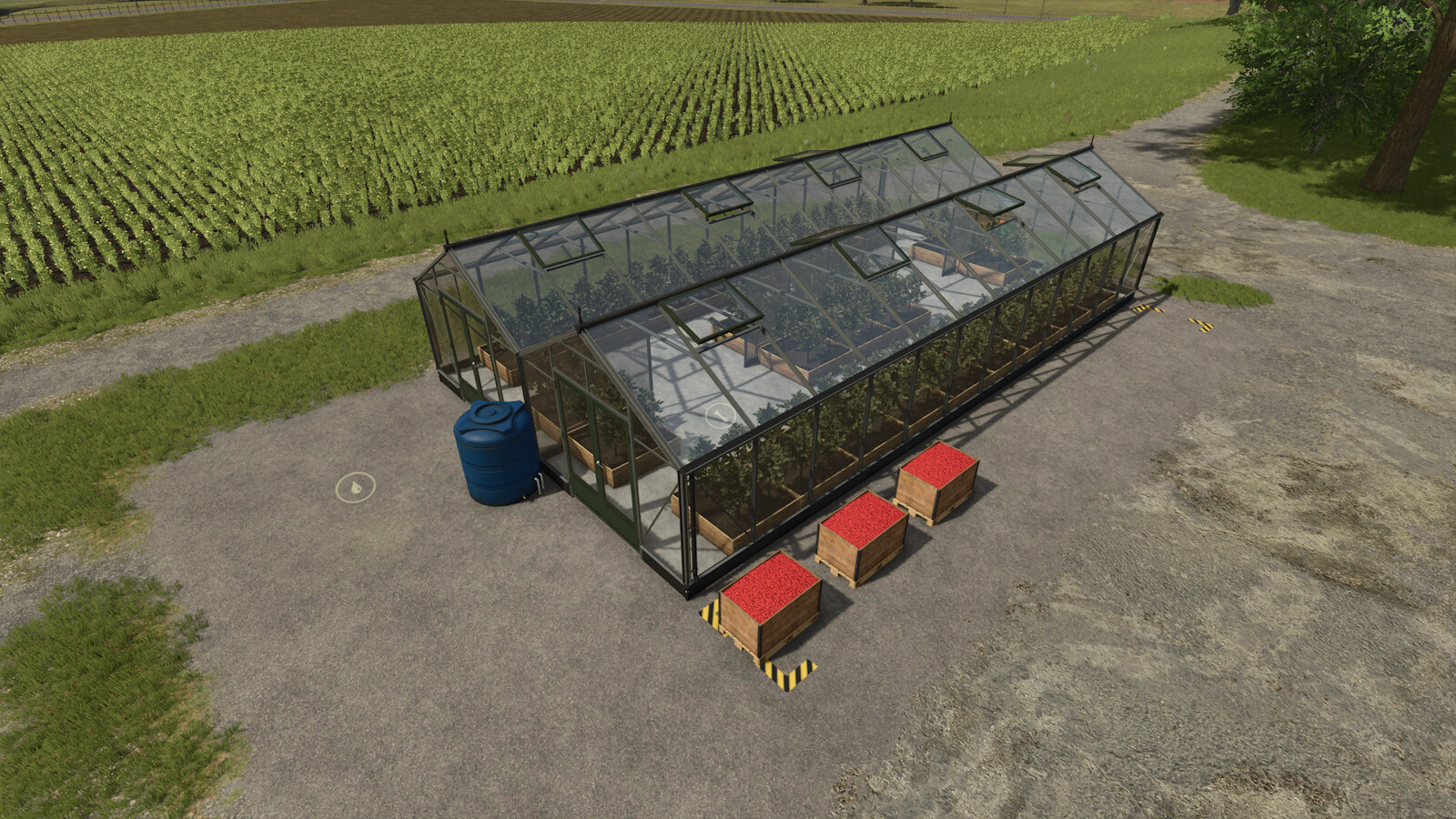Coffee Production