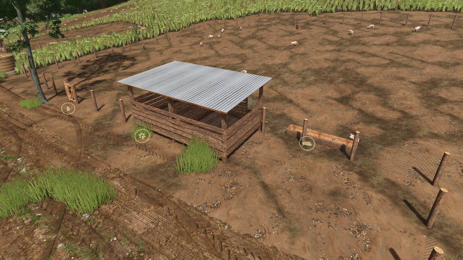 Brazilian Pigsty
