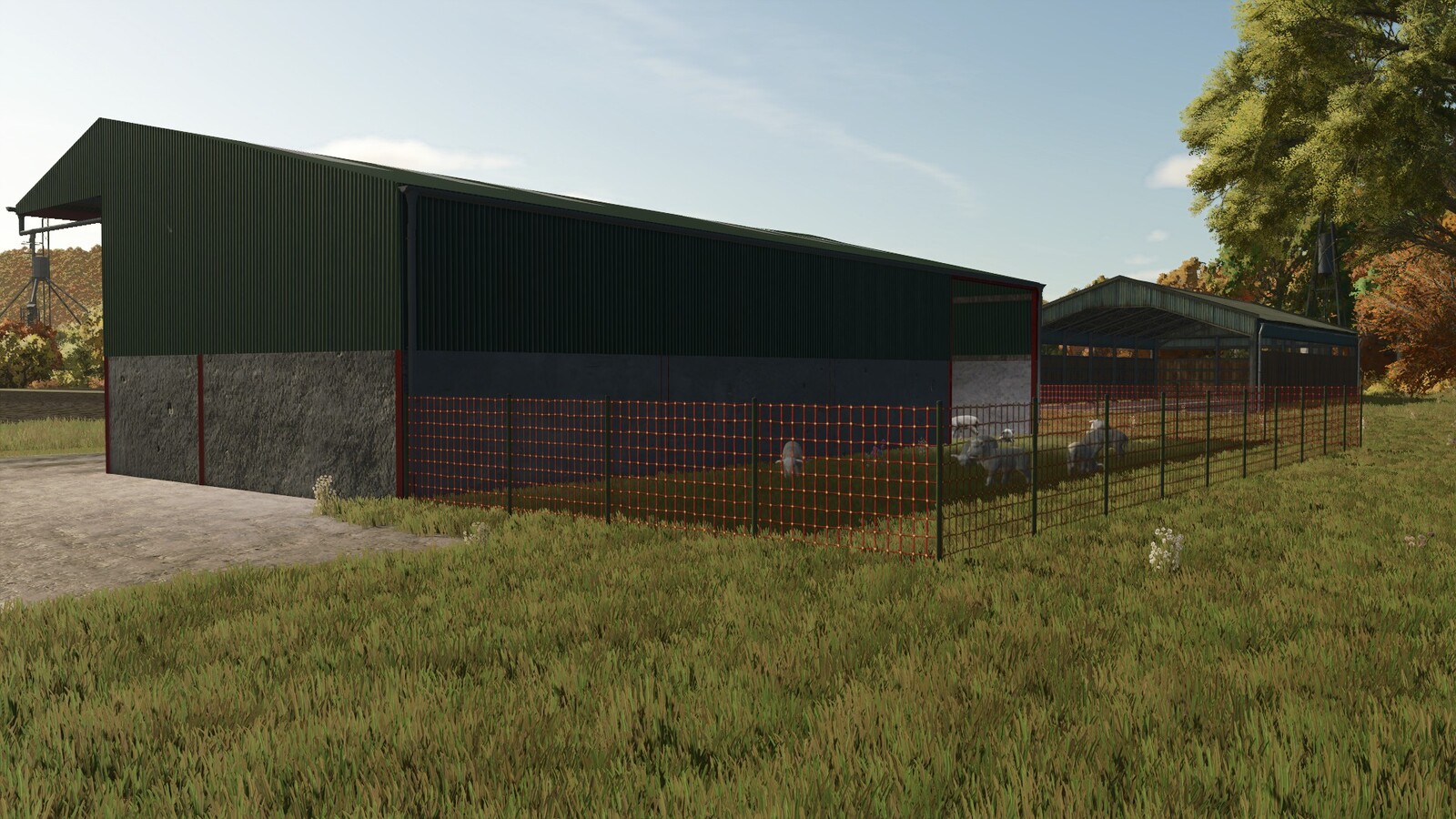 Sheep Shed