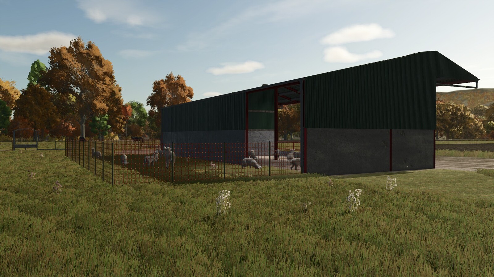 Sheep Shed