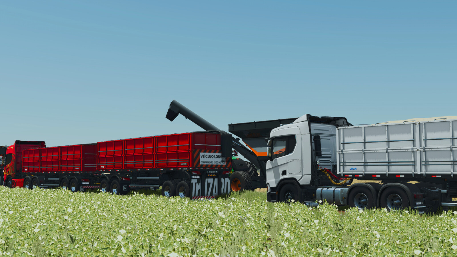 Randon Rodotrem Bulk Carrier