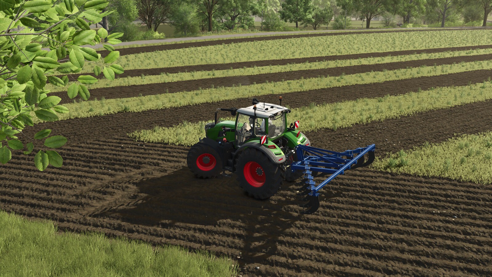 Lizard Agri 13