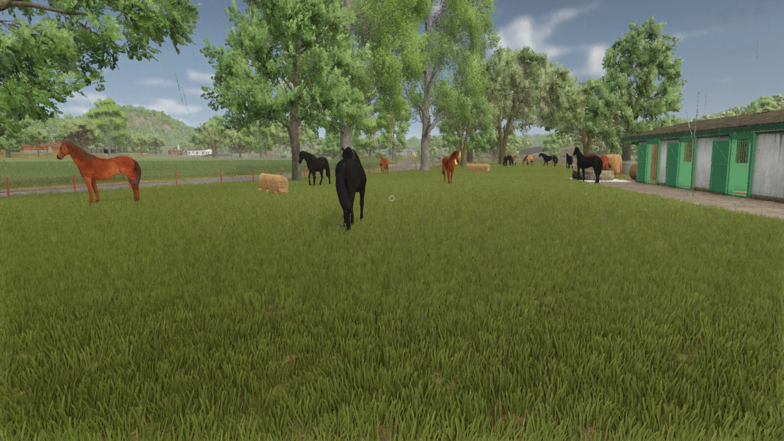 Auto Horse Care