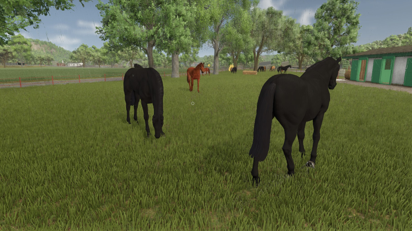 Auto Horse Care
