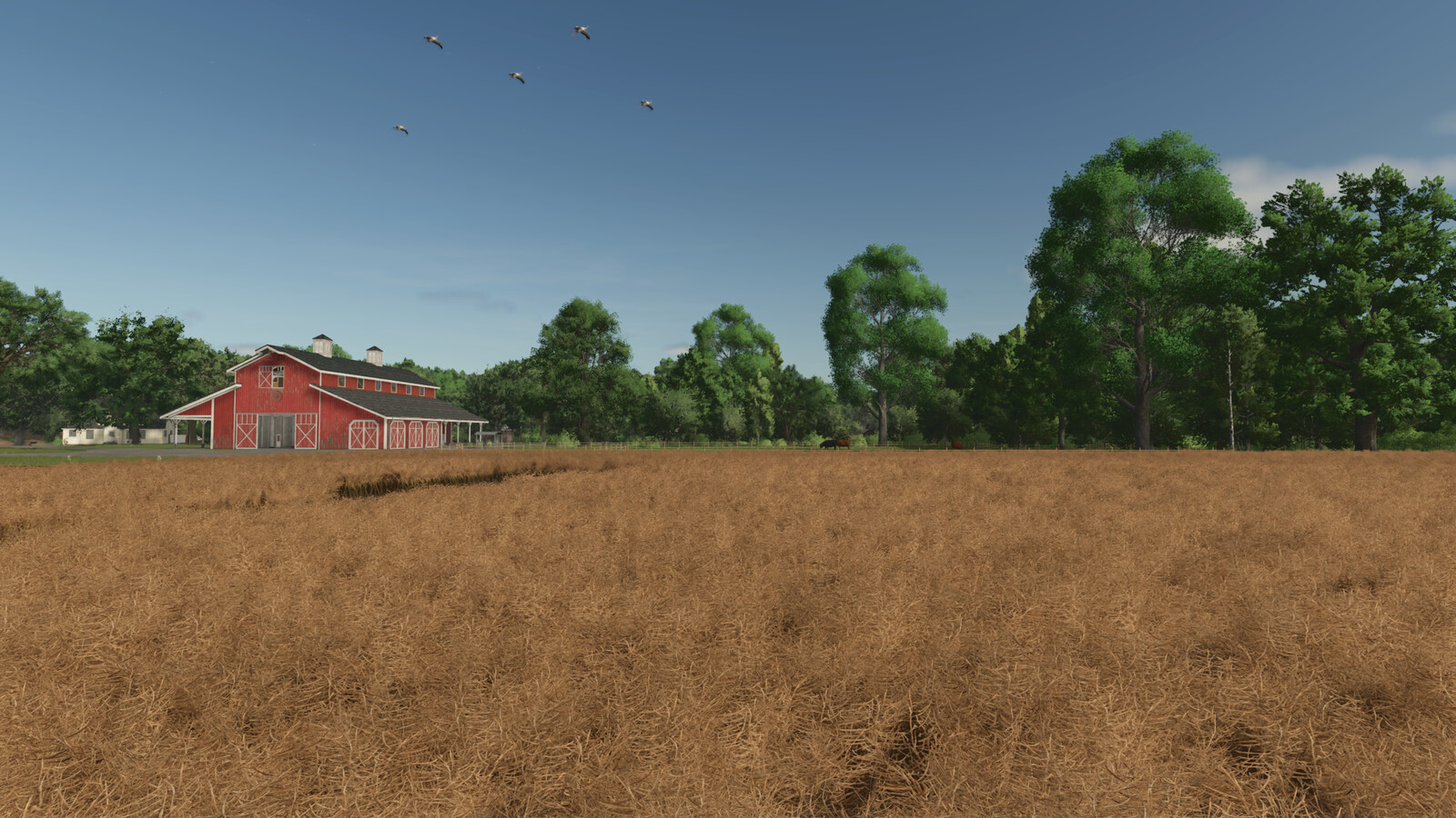 PlayerCam