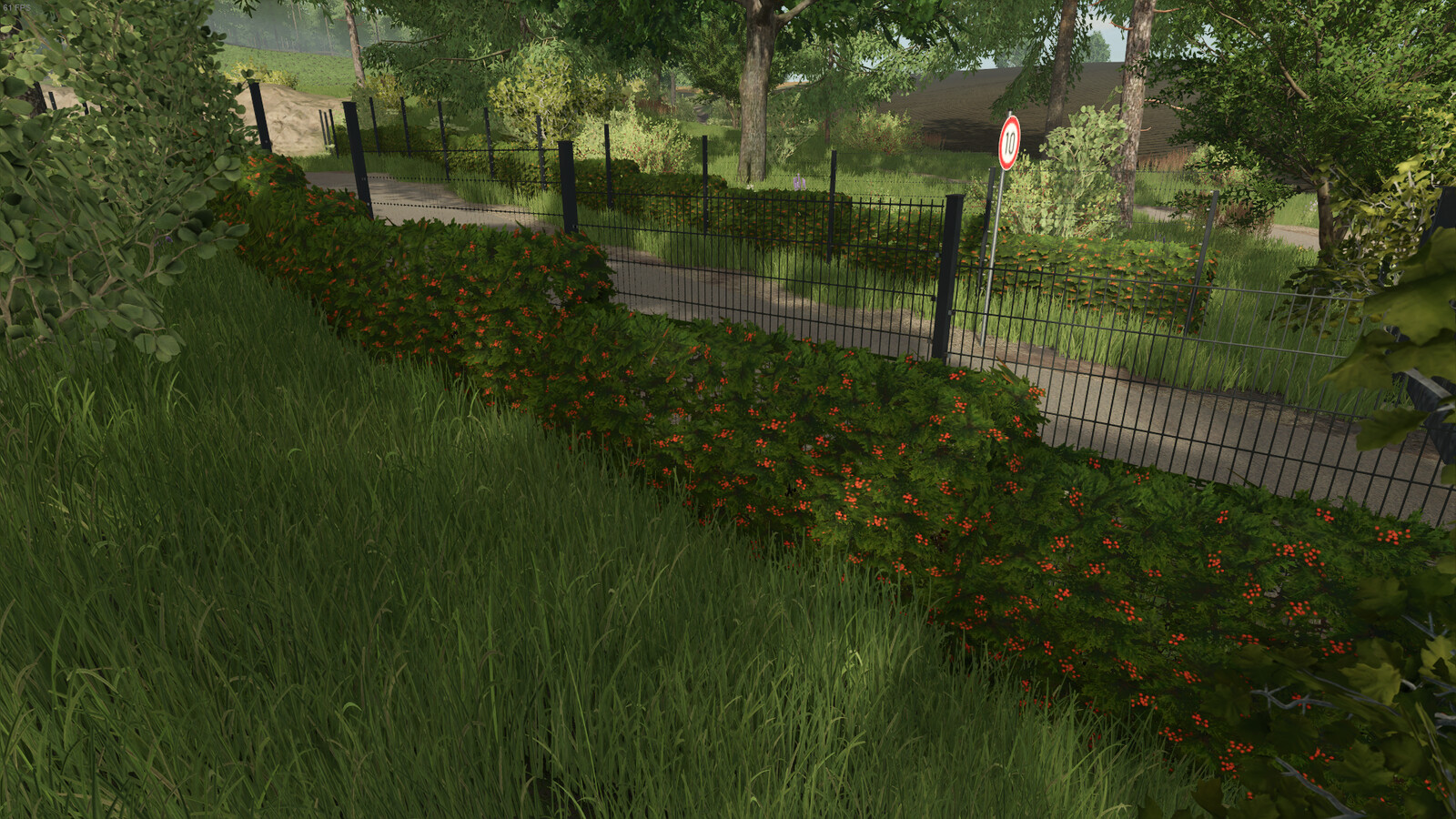 Hedges Pack