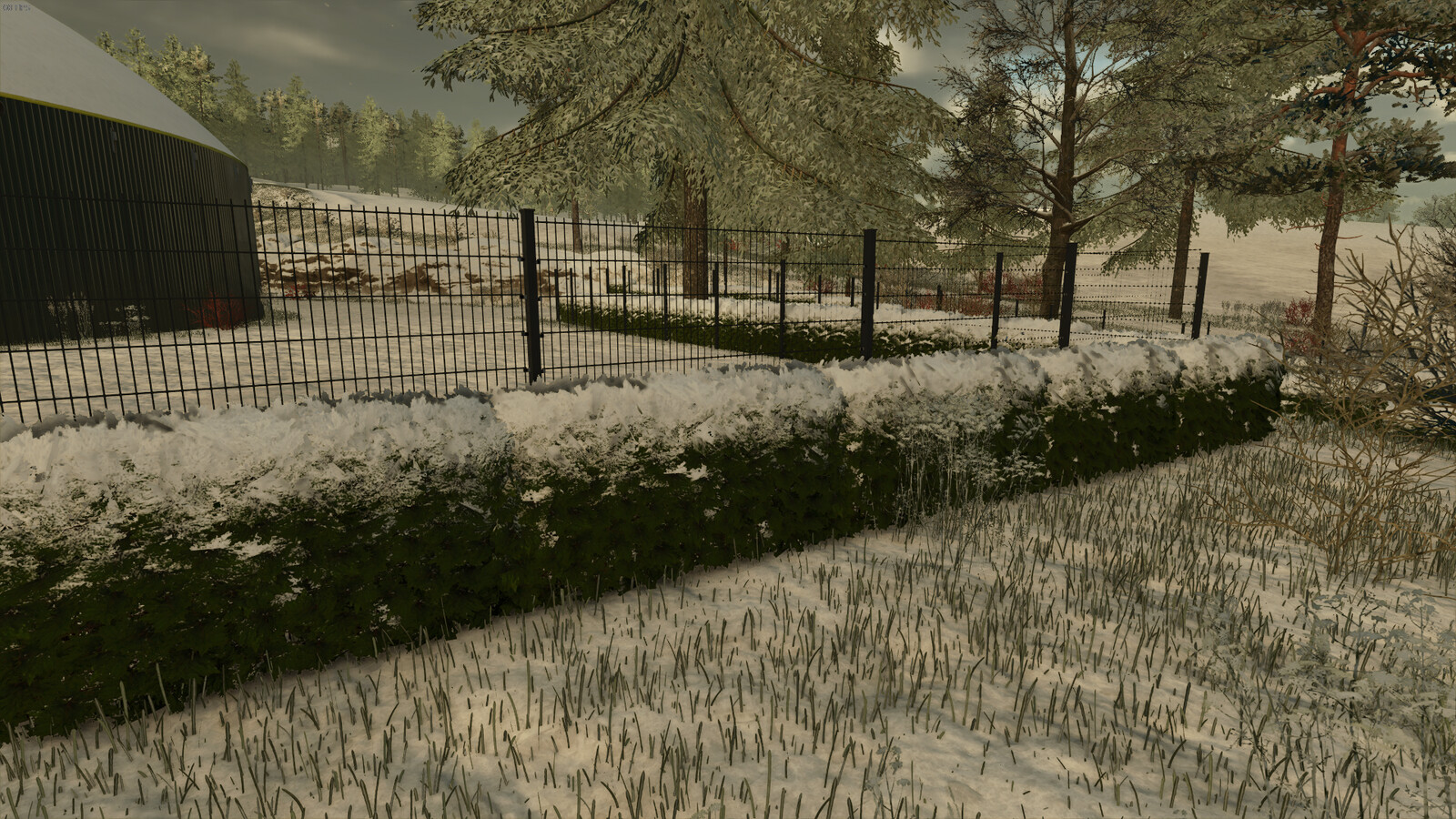 Hedges Pack
