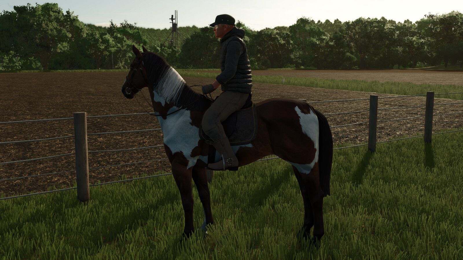 HorseHelper