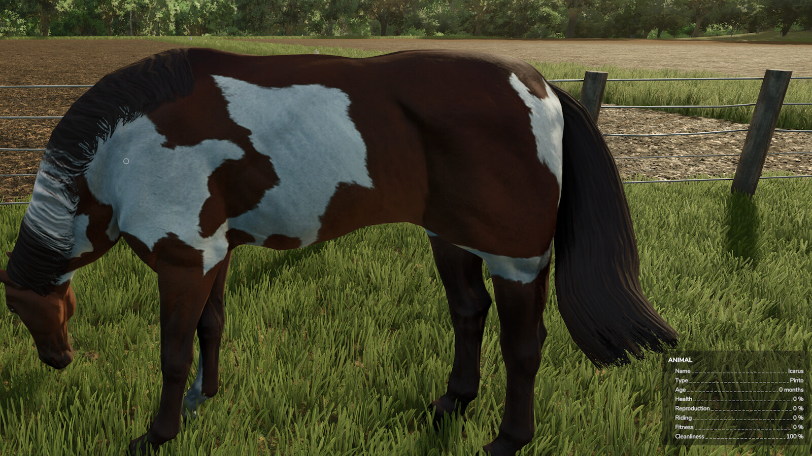 HorseHelper