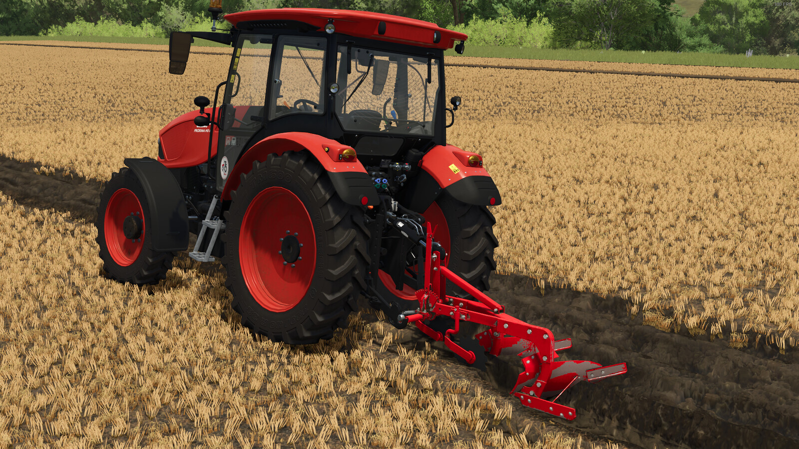 Lizard BI 755