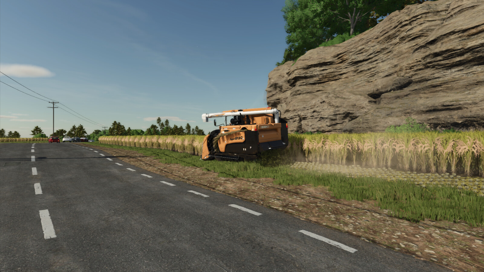 Allow Rice On Fields