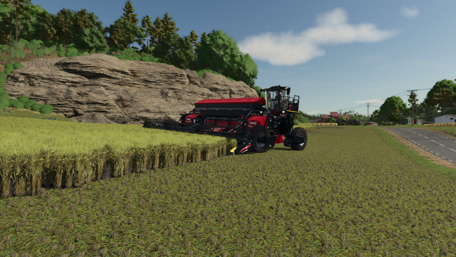 Allow Rice On Fields