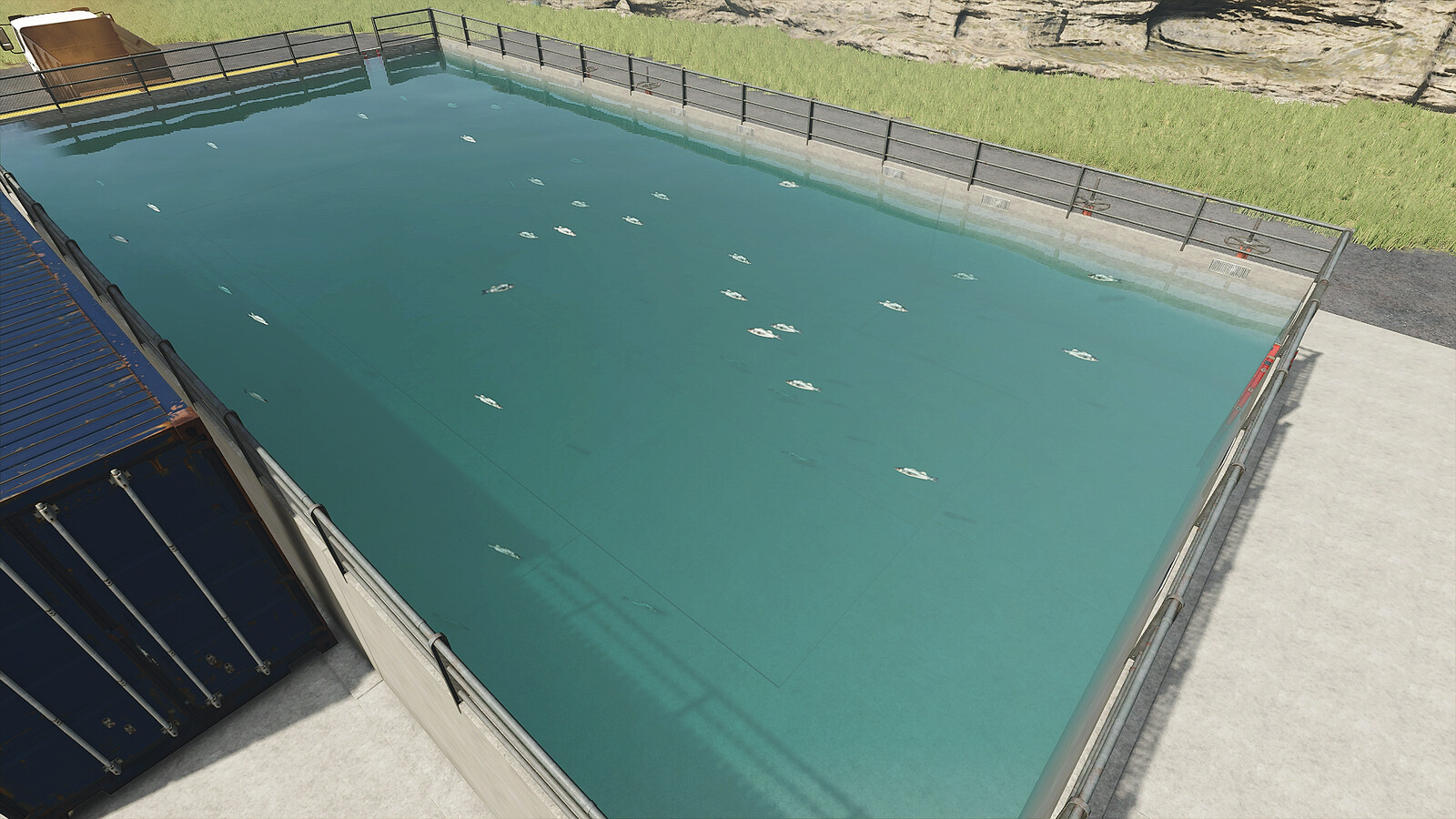 Fish Farming