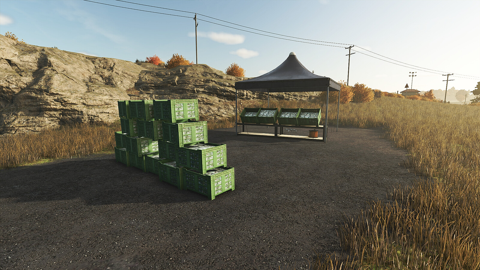 Fish Farming