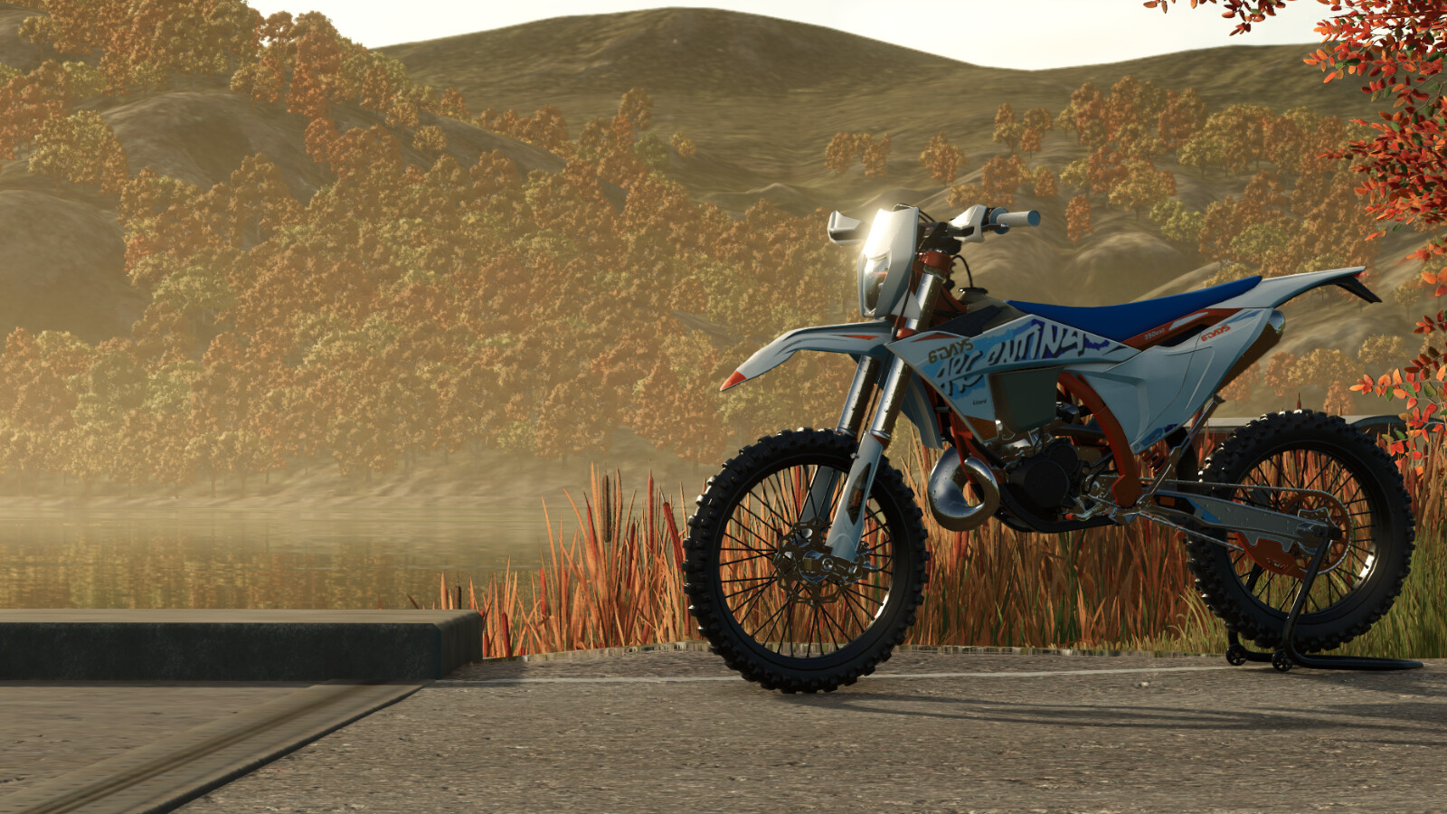 Lizard 350 EXCF