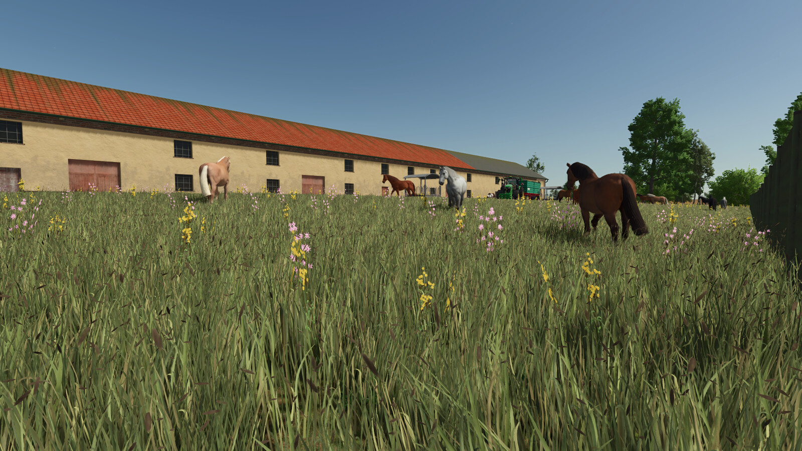 Horse Barn Big