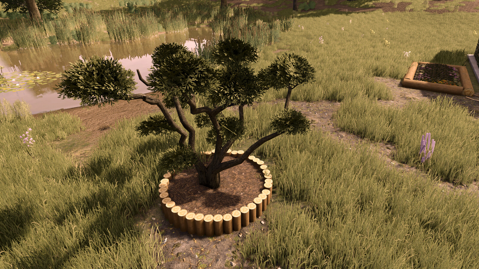 Garden Decoration