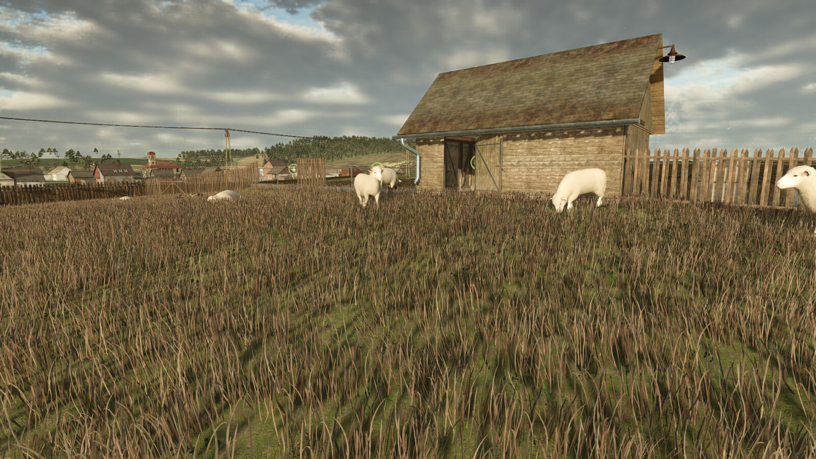 Sheep Small Barn