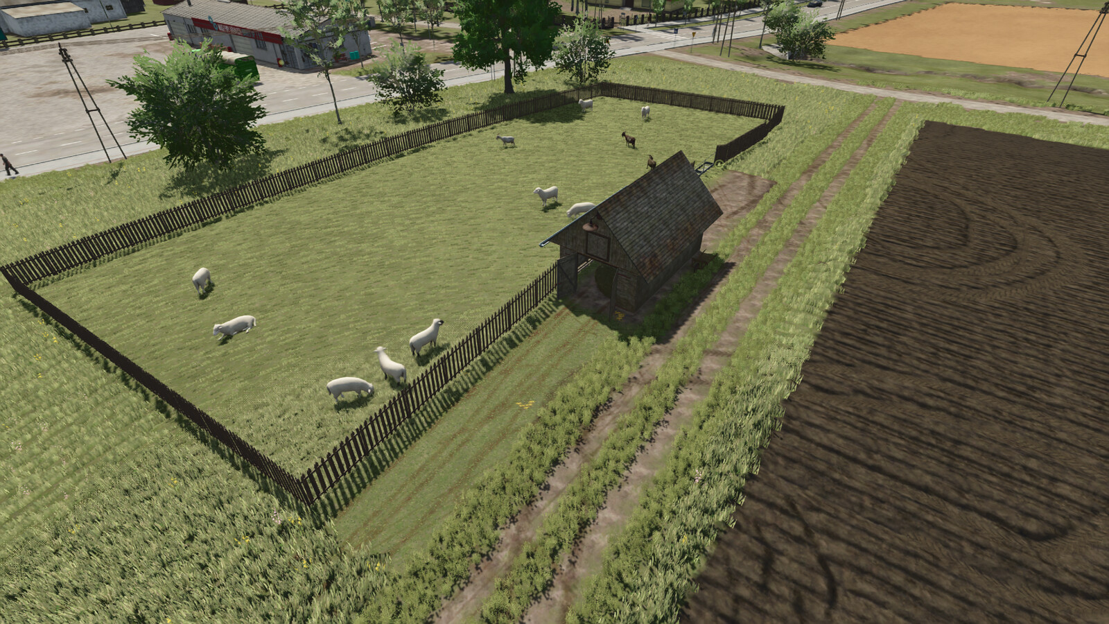Sheep Small Barn