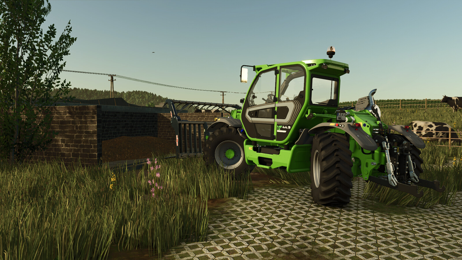 Polish Manure Plates Pack