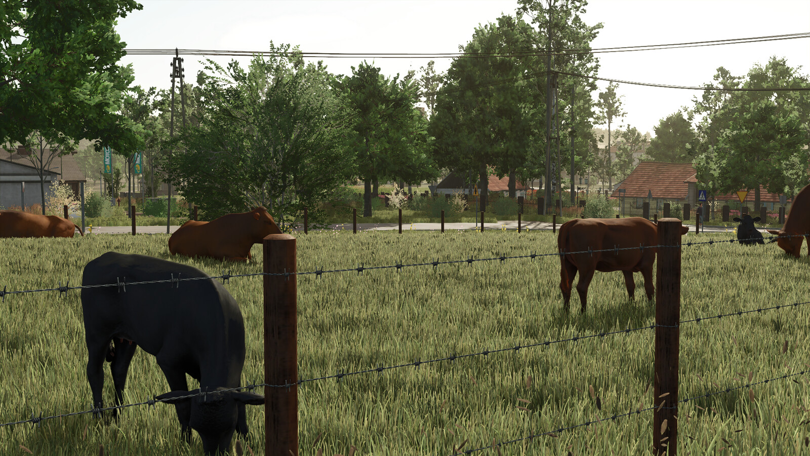 Small Old Cow Pasture